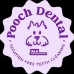 Sedation-Free Dog Teeth Cleaning